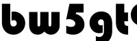 bw5gt9fip bags